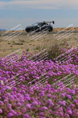 media/Jan-08-2023-SCCA SD (Sun) [[8f6a5b9391]]/Advanced Group/Session 2 (Short Straight)/